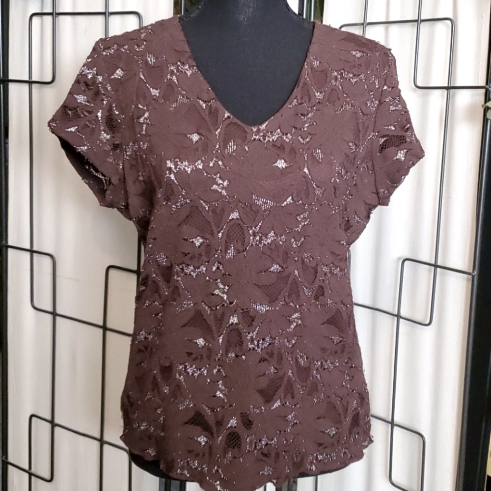 🍀Brown & metallic silver lace v-neck top beautiful